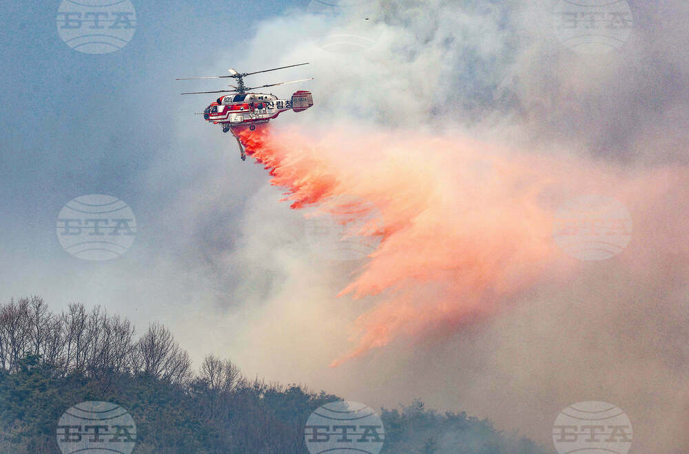 South Korea Wildfires