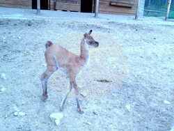 Снимка: Община Стара Загора