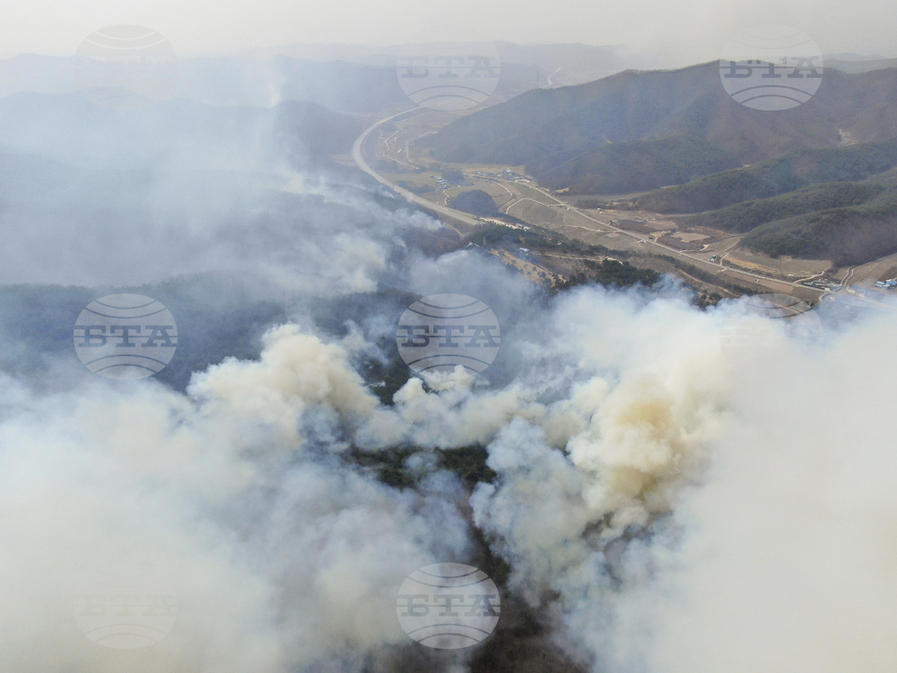 South Korea Wildfires