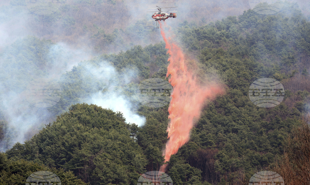 South Korea Wildfires
