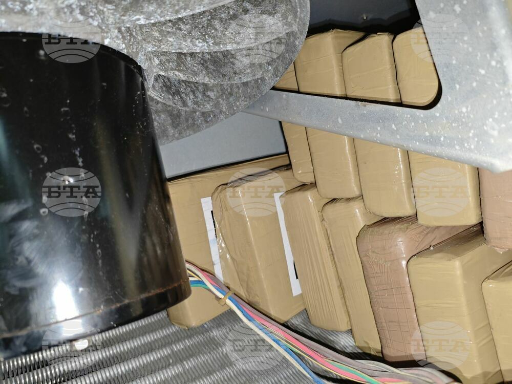 Authorities in Burgas Discover Cocaine Worth BGN 19 Mln in Shipping Container Full of Bananas