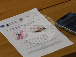 Благоевград - младежка инициатива - водни лилии