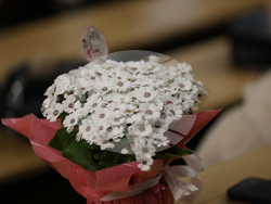 Благоевград - младежка инициатива - водни лилии