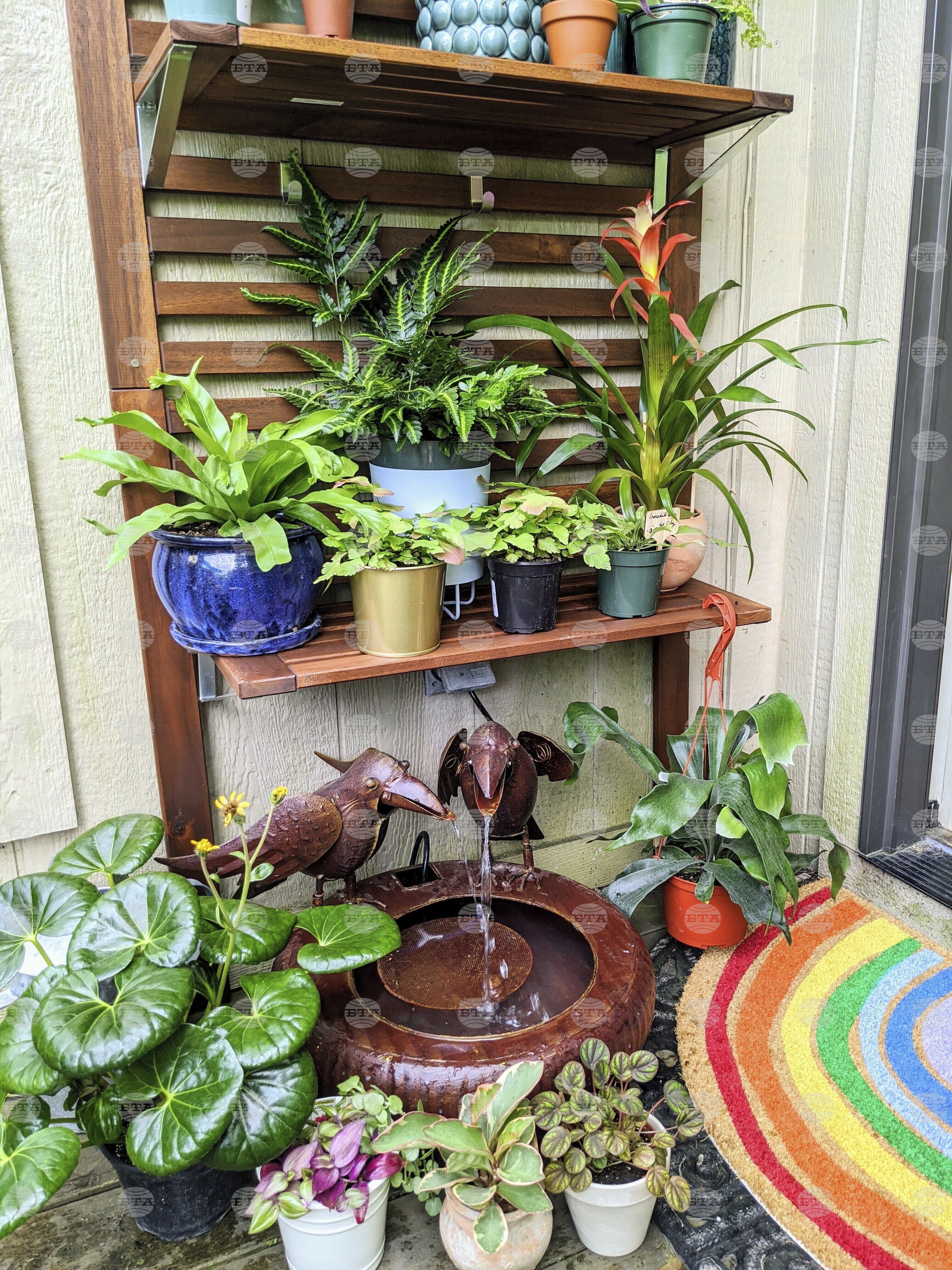 Gardening - Houseplant Vacation