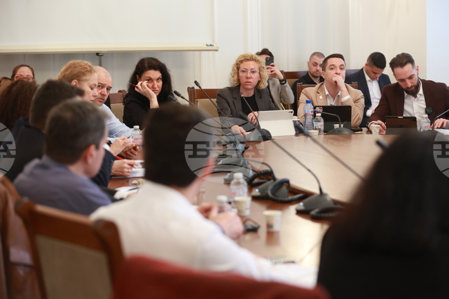 За по-сериозни наказания и възможност за използване на специални разузнавателни средства при случаи на насилие към животни призоваха експерти