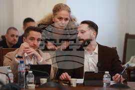 Народно събрание - кръгла маса - прекратяване насилието над животни