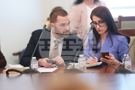 Народно събрание - кръгла маса - прекратяване насилието над животни