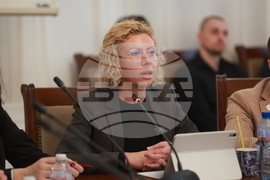 Народно събрание - кръгла маса - прекратяване насилието над животни