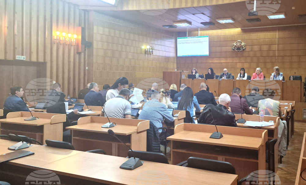 Максималната скорост на движение на електрическите тротинетки да е 25 км/ч, решиха общинските съветници в Разград