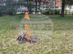 Търговище - Благовещение - прескачане на огън