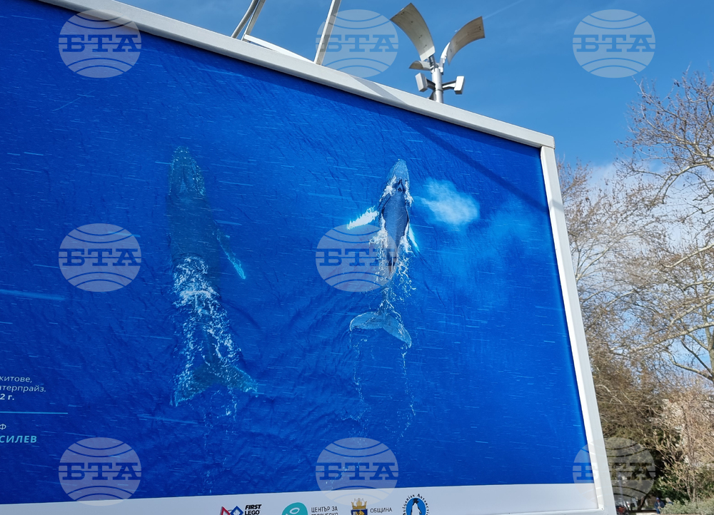 Бургас - Олег Василев - изложба