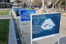 Бургас - Олег Василев - изложба