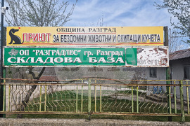 Разград - приют за животни - деца - посещение