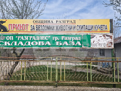 Разград - приют за животни - деца - посещение