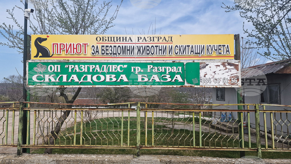 Разград - приют за животни - деца - посещение