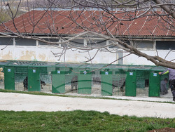 Разград - приют за животни - деца - посещение