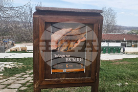 Разград - приют за животни - деца - посещение