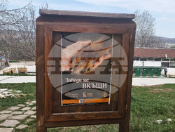 Разград - приют за животни - деца - посещение