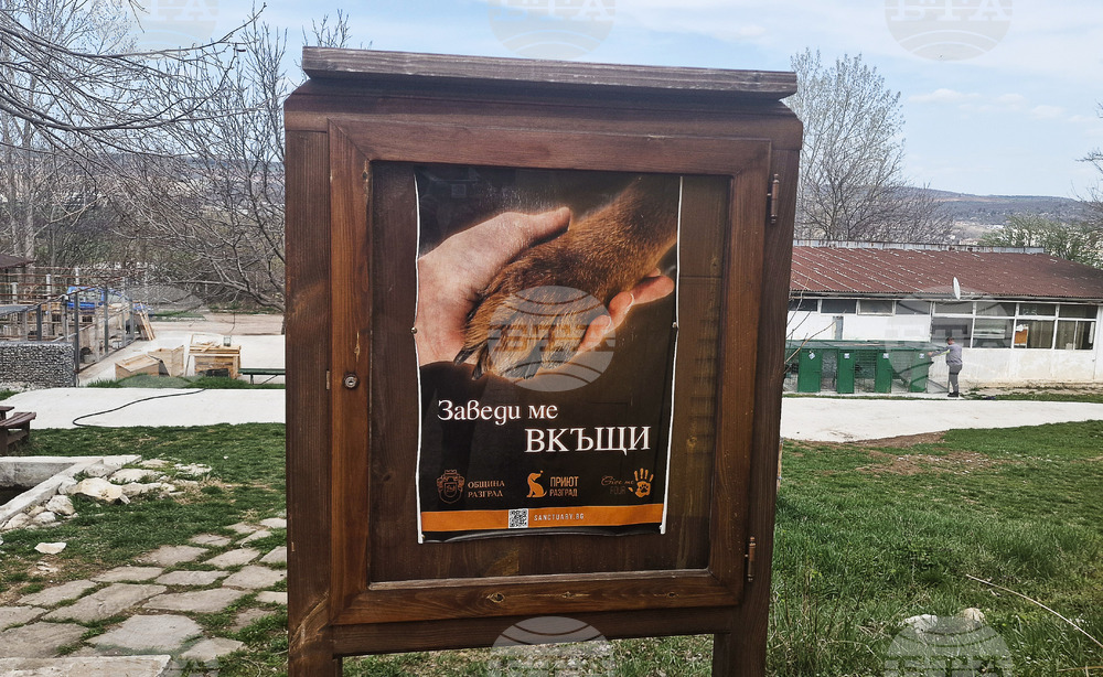Разград - приют за животни - деца - посещение