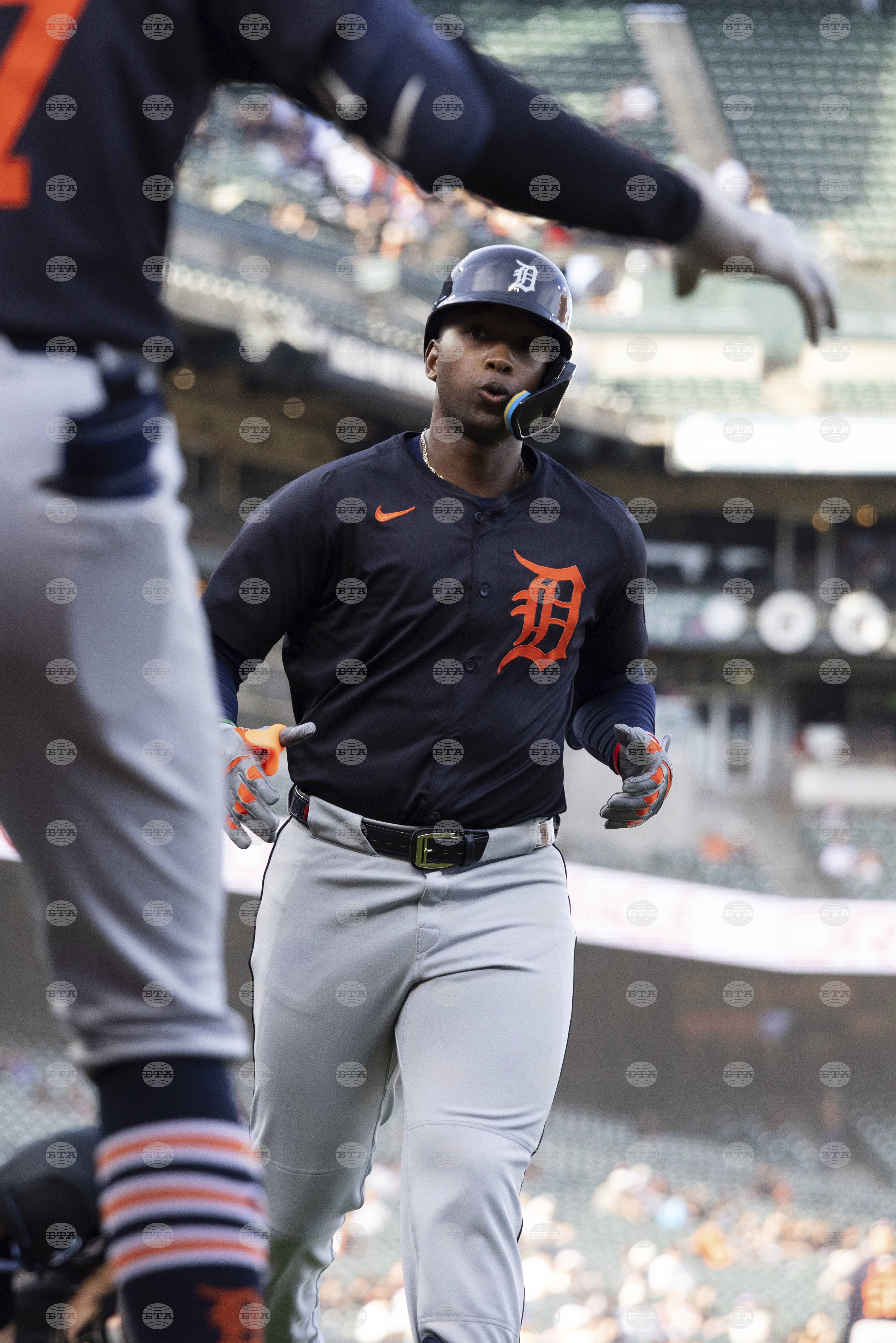 Tigers Giants Baseball