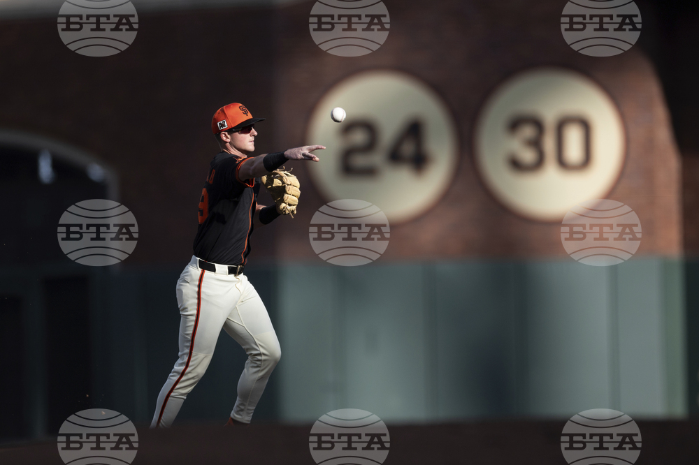 Tigers Giants Baseball