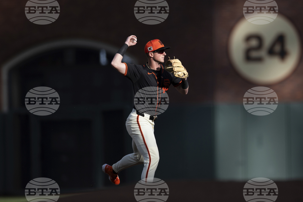 Tigers Giants Baseball