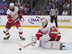 Red Wings Avalanche Hockey