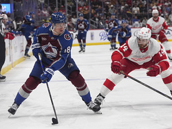 Red Wings Avalanche Hockey