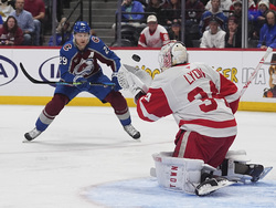 Red Wings Avalanche Hockey