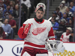 Red Wings Avalanche Hockey