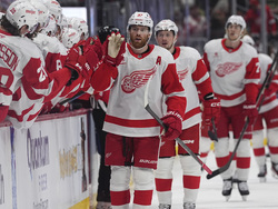 Red Wings Avalanche Hockey
