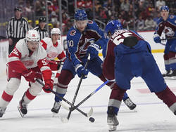 Red Wings Avalanche Hockey