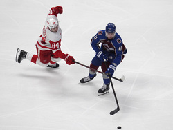 Red Wings Avalanche Hockey