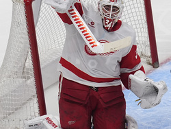 Red Wings Avalanche Hockey