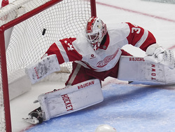 Red Wings Avalanche Hockey