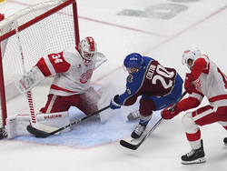 Red Wings Avalanche Hockey
