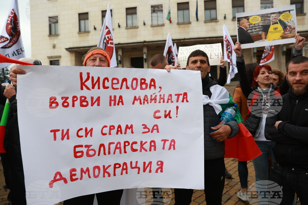 Партия МЕЧ  - протест