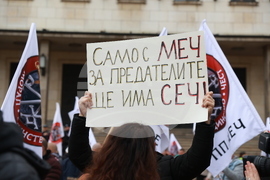 Партия МЕЧ  - протест