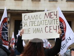 Партия МЕЧ  - протест