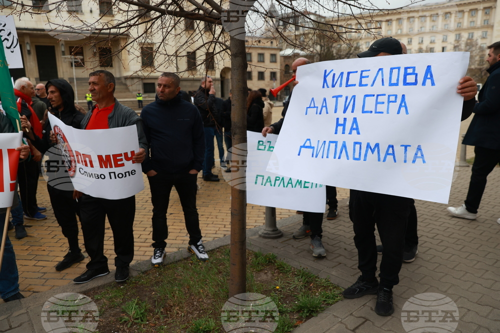 Партия МЕЧ  - протест
