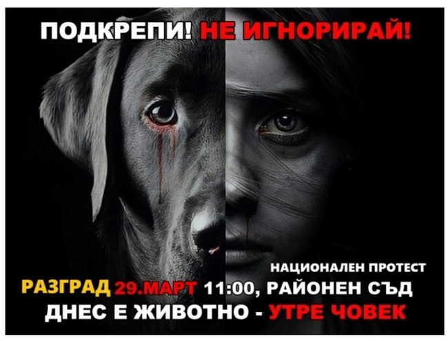 Протест срещу насилието над животни ще се състои в Разград тази събота