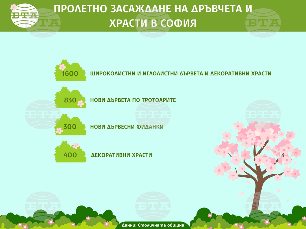 Пролетно засаждане на дръвчета и храсти в София