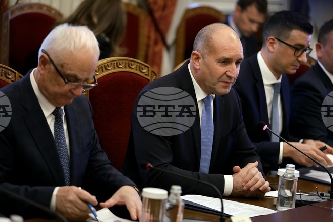 Убеден съм, че ще бъдем успешни в сътрудничеството в отбраната, каза президентът Румен Радев на среща с делегация от концерна "Райнметал"