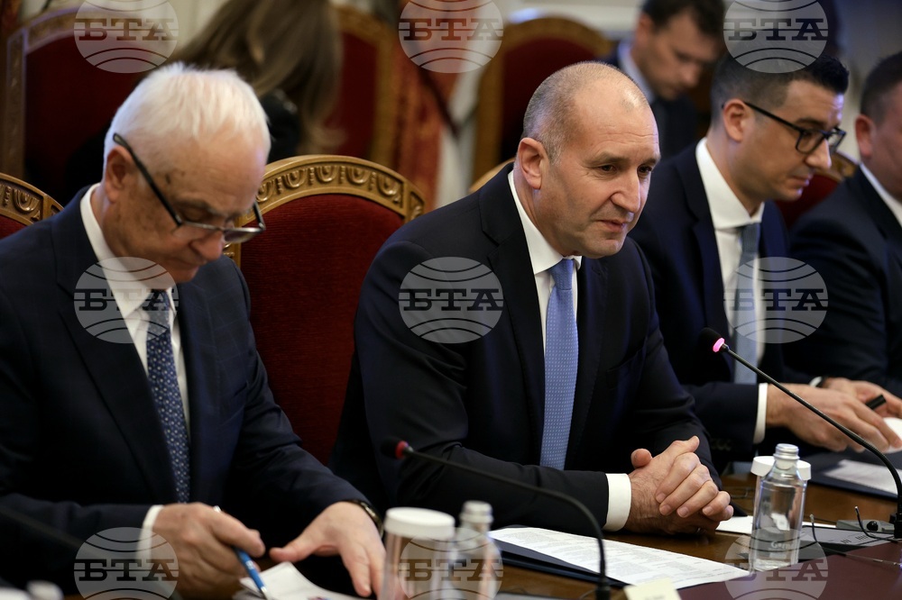 Румен Радев - „Райнметал“ - делегация - среща