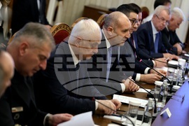 Румен Радев - „Райнметал“ - делегация - среща