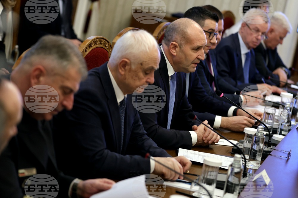 Румен Радев - „Райнметал“ - делегация - среща