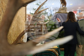 Пловдив - "Природа. Лов. Риболов" - изложение - "Цветна пролет" - специализирана изложба