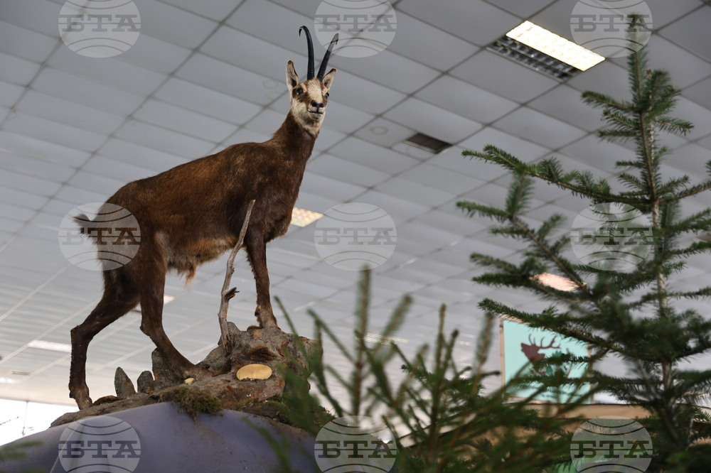 Пловдив - "Природа. Лов. Риболов" - изложение - "Цветна пролет" - специализирана изложба