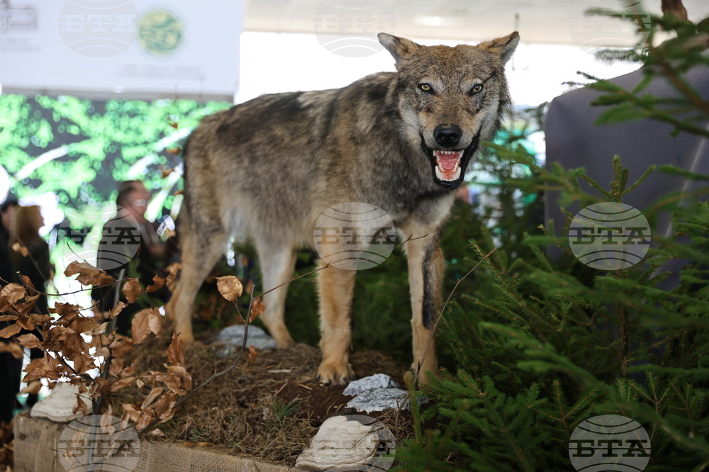 Пловдив - "Природа. Лов. Риболов" - изложение - "Цветна пролет" - специализирана изложба