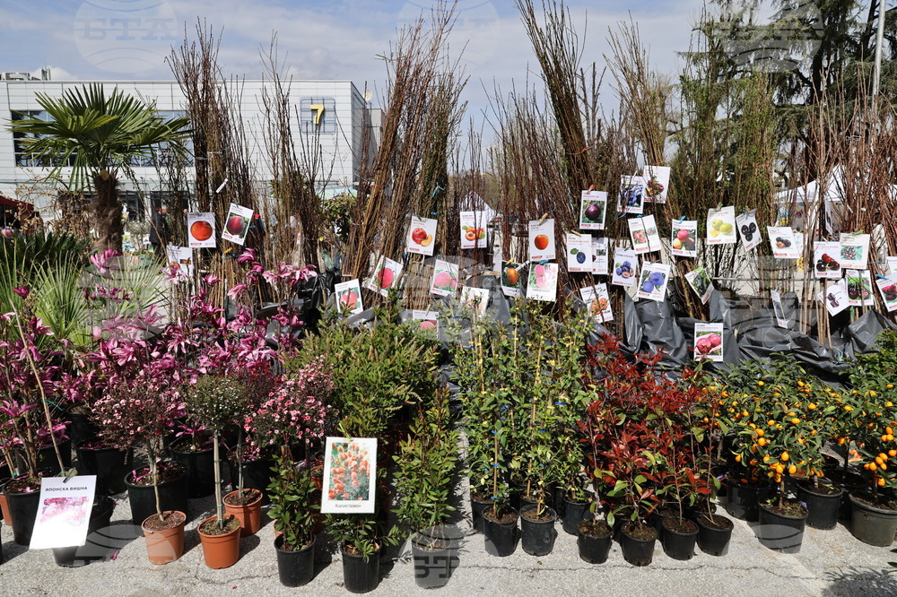 Пловдив - "Природа. Лов. Риболов" - изложение - "Цветна пролет" - специализирана изложба